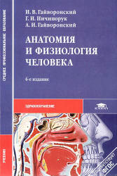 Анатомия и физиология человека - Гайворонский И.В. и др. - Скачать Читать Лучшую Школьную Библиотеку Учебников